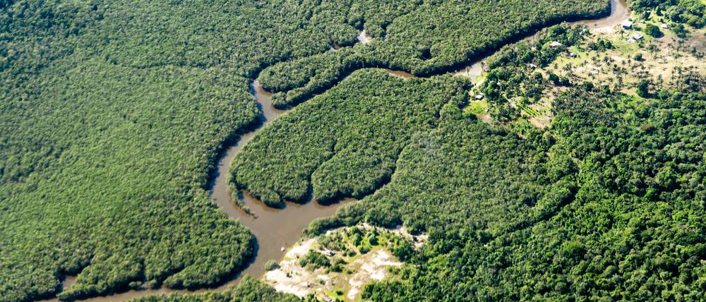 Von August 2022 bis Juli 2023 ging Wald in Brasilien auf einer Fläche von rund 9000 Quadratkilometern verloren, wie das Nationale Institut für Weltraumforschung (Inpe) mitteilte.