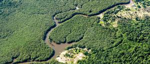 Ein kleiner Fluss schlängelt sich durch den Amazonas-Regenwald. 