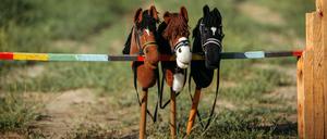 Hobbyhorsing statt Reiterhof: Auch in Potsdam kann man es sich muckelig machen.