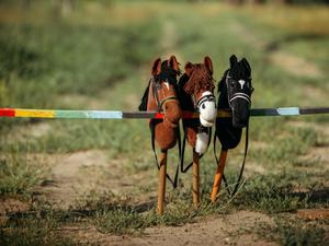 Hobbyhorsing statt Reiterhof: Auch in Potsdam kann man es sich muckelig machen.