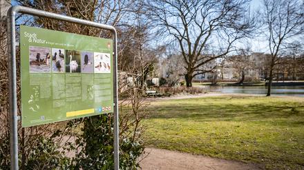 Der Wilhelsmruher See liegt in einem kleinen Park.
