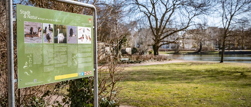 Der Wilhelsmruher See liegt in einem kleinen Park.