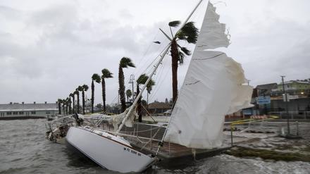 Segelboote in Gulfport, Florida, USA, die sich infolge des Tropensturms Debby gelöst haben und gegen die Ufermauer gekracht sind.
