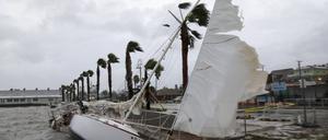 Segelboote in Gulfport, Florida, USA, die sich infolge des Tropensturms Debby gelöst haben und gegen die Ufermauer gekracht sind.