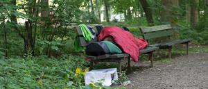 Wohungslose Menschen zieht es vermehrt in Berliner Grünanlagen.