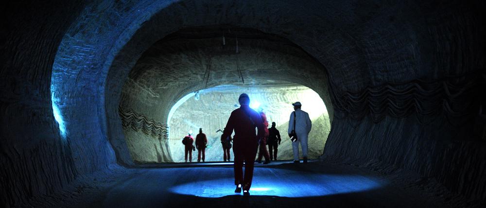 Besucher besichtigen am 03.02.2012 das Erkundungsbergwerk Gorleben.