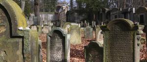 Grabsteine auf dem Jüdischen Friedhof Potsdam.