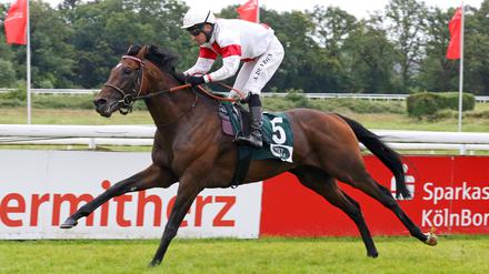 Hengst Narrativo wurde beim Deutschen Derby 14., in Hoppegarten soll es besser laufen.