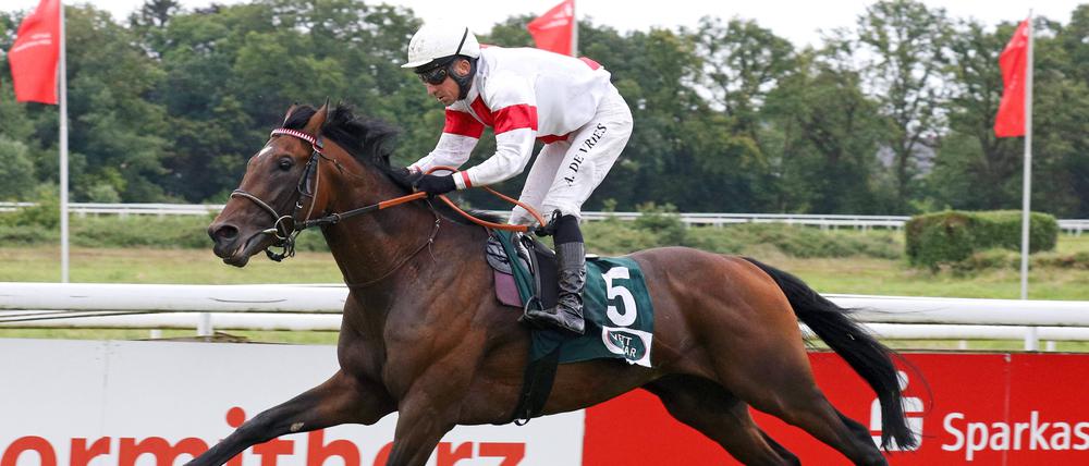 Hengst Narrativo wurde beim Deutschen Derby 14., in Hoppegarten soll es besser laufen.
