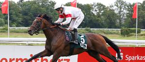 Hengst Narrativo wurde beim Deutschen Derby 14., in Hoppegarten soll es besser laufen.
