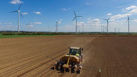 Große Flächen wecken große Begehrlichkeiten: Landwirtschaft, Energiegewinnung – wohin geht die Reise in Brandenburg?