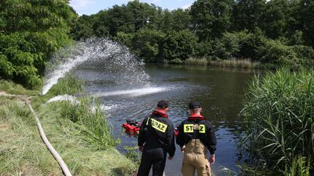 Feuerwehreinsatz im Sommer 2023 am Gleiwitzer Kanal im polnischen Kandrzin-Cosel (Archivbild).