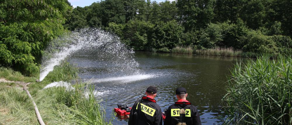 Feuerwehreinsatz im Sommer 2023 am Gleiwitzer Kanal im polnischen Kandrzin-Cosel (Archivbild).