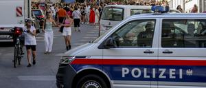 Ein Polizeiauto steht in der Nähe von versammelten «Swifties».