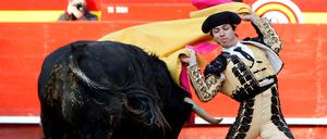 Auf in den Kampf, Torero!