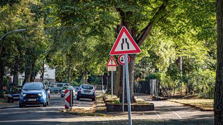 Schön hier. Das Waldseeviertel ist eine grüne Gegend. Bei Autofahrern ist es aus anderen Gründen beliebt.