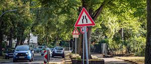 Schön hier. Das Waldseeviertel ist eine grüne Gegend. Bei Autofahrern ist es aus anderen Gründen beliebt.