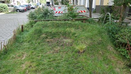 Das Grassofa im Graefekiez