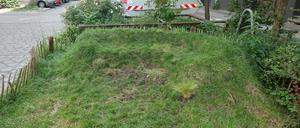 Das Grassofa im Graefekiez
