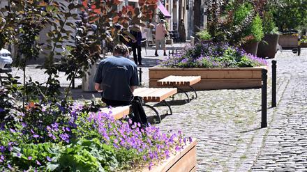 Blumen und Bänke anstelle von Parkplätzen: Ein Teil der Dortustraße ist im Rahmen eines Modellprojektes seit März verkehrsberuhigt.