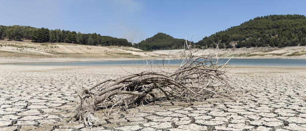 Der Fanaco-See, der einen großen Teil des südlichen Siziliens, darunter auch die Stadt Agrigent, mit Wasser versorgt, zeigt einen extrem niedrigen Wasserstand nach einem Winter mit sehr wenigen Niederschlägen.