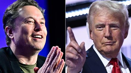 Elon Musk und Donald Trump trafen sich virtuell zum Gespräch.