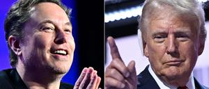 Elon Musk und Donald Trump trafen sich virtuell zum Gespräch.