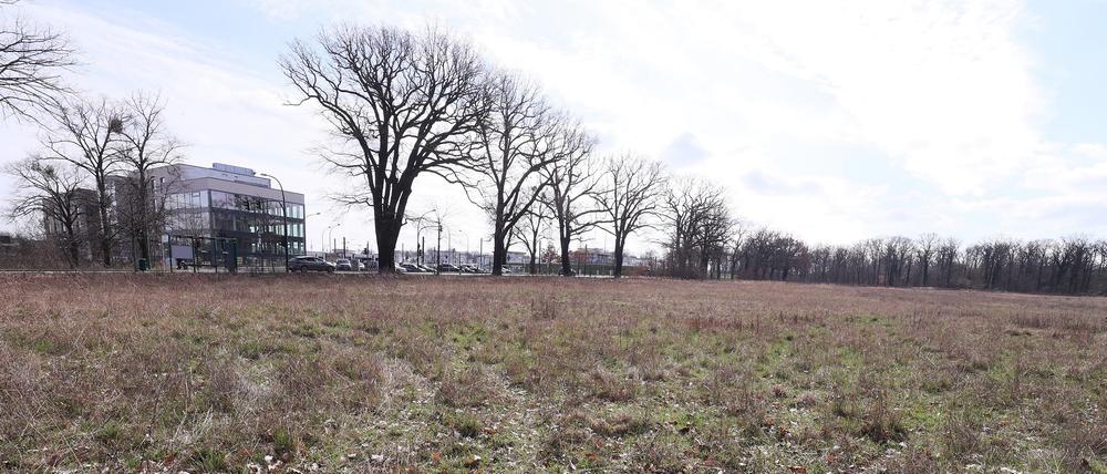 Potsdam darf auf einer Brache an der Nedlitzer Straße ein Containerdorf für Geflüchtete errichten. Das Oberverwaltungsgericht bestätigte jetzt eine entsprechende Entscheidung des Verwaltungsgerichts.