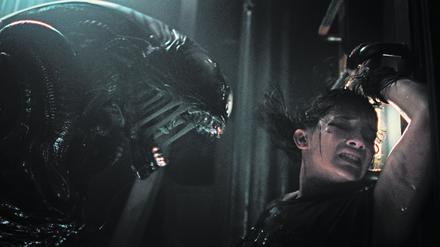 Auf Tuchfühlung. Das Alien befindet sich wieder auf Beutezug.