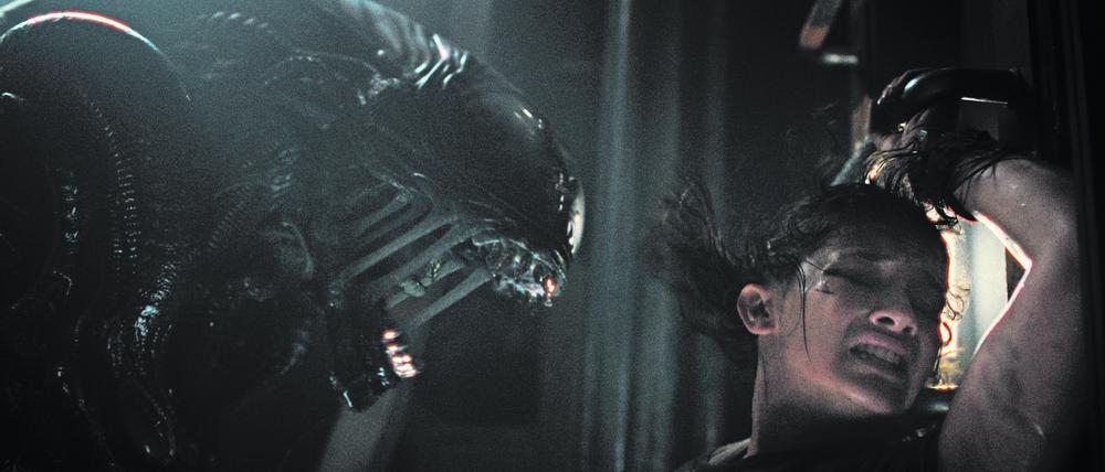 Auf Tuchfühlung. Das Alien befindet sich wieder auf Beutezug.