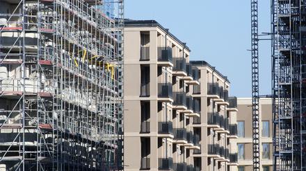 Potsdam, Wohnungsbau, Baustellen, Baugerüste, Symbolbild