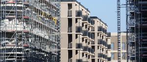 Potsdam, Wohnungsbau, Baustellen, Baugerüste, Symbolbild