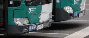 Busse des Verkehrsbetriebs in Potsdam (Symbolbid)