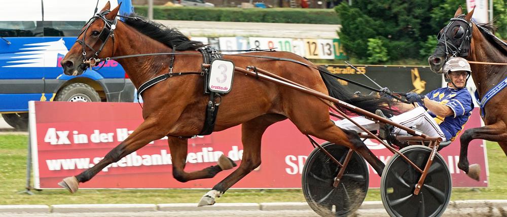 Trabrennfahrer Josef Franzl mit Stute Whispering Angel.