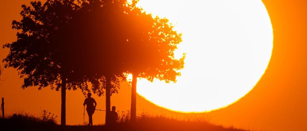 Die WMO berichtet gleich über mehrere Wärmerekorde. (Archivbild) 