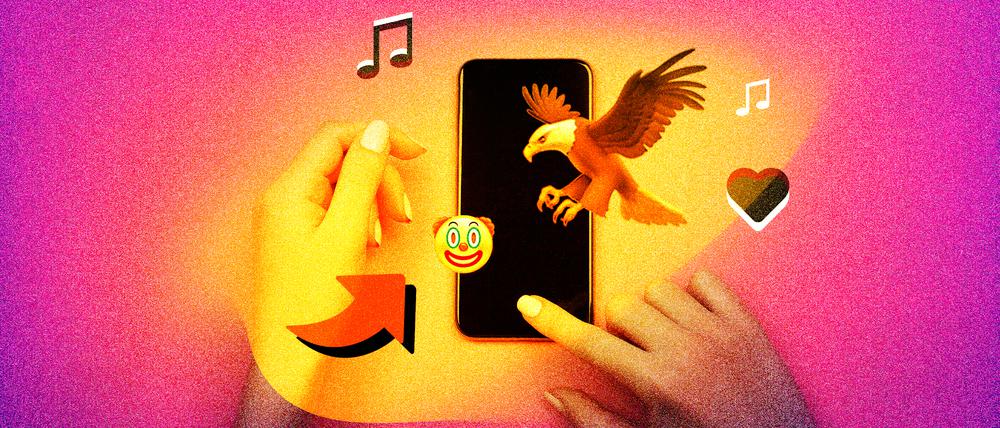 TikTok Rechte Propaganda