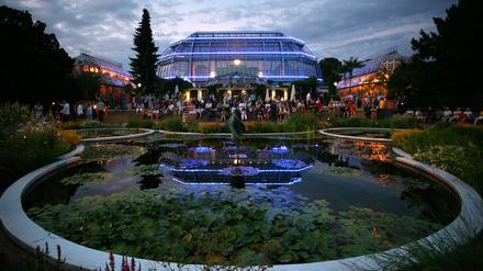 Farbig beleuchtet sind die Gewächshäuser im Botanischen Garten in Berlin.