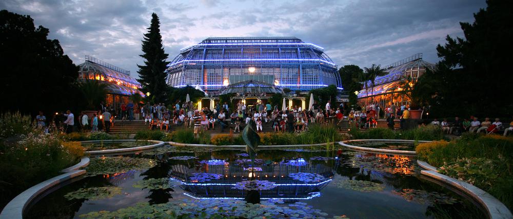 Farbig beleuchtet sind die Gewächshäuser im Botanischen Garten in Berlin.