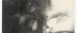 Schattierungen von Grau: Die mit Grafit und Tusche aufgetragenen Motive von Letizia Werth haben keine klaren Konturen. Zeit und Raum verflüchtigen sich.