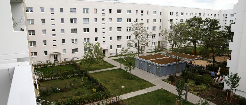Sanierte Wohnungen der Pro Potsdam in Drewitz. Das Unternehmen ist Potsdams größter Vermieter.