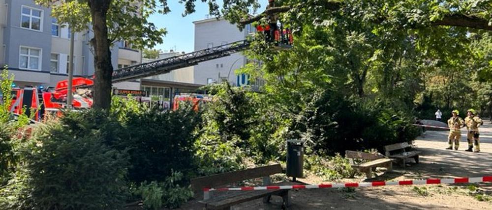 Die Feuerwehr sicherte die Unfallstelle im Ottopark ab.