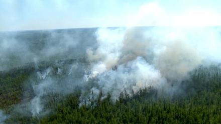 Ein Waldbrand in Russland (Archivbild).