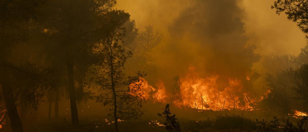 Im August 2024 wütet Ein Waldbrand in Penteli, einer Gemeinde in der Region Nord-Athen. 