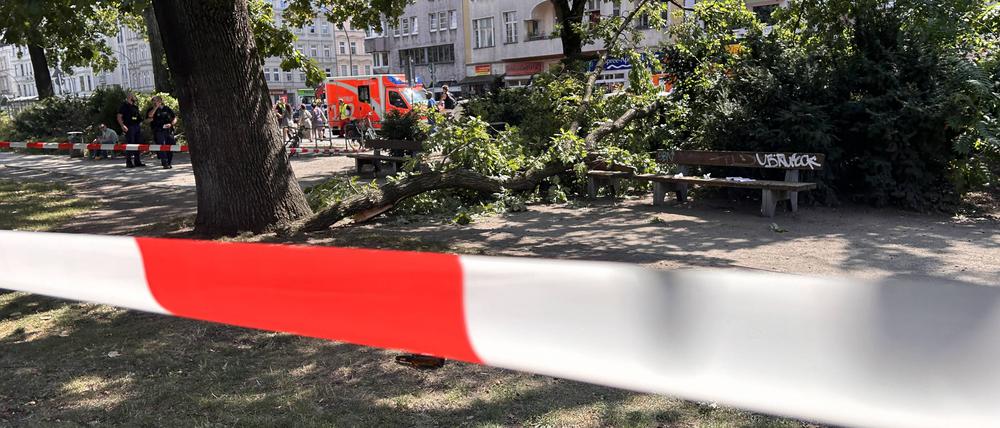 Astbruch im Ottopark, Moabit