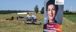 Ein Wahlplakat der Partei Bündnis Sahra Wagenknecht (BSW) mit dem Slogan «Zukunft statt Landflucht» hängt an einem Pfahl vor einer Wiese mit Kühen und Windrädern in Thüringen.
