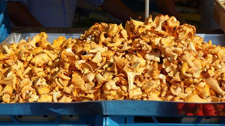 Pfifferlinge auf dem Wochenmarkt.