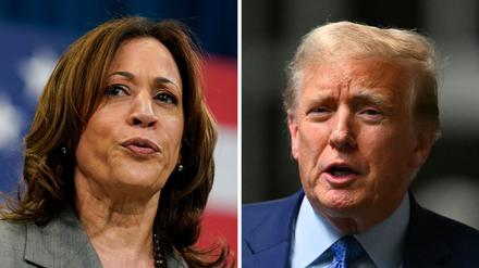 Kamala Harris und Donald Trump treten bei er US-Wahl am 5. November gegeneinander an.