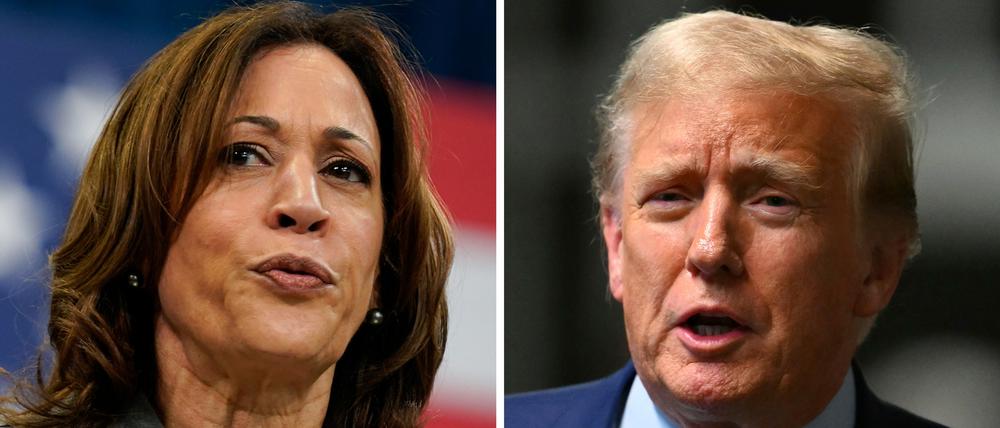 Kamala Harris und Donald Trump treten bei er US-Wahl am 5. November gegeneinander an.