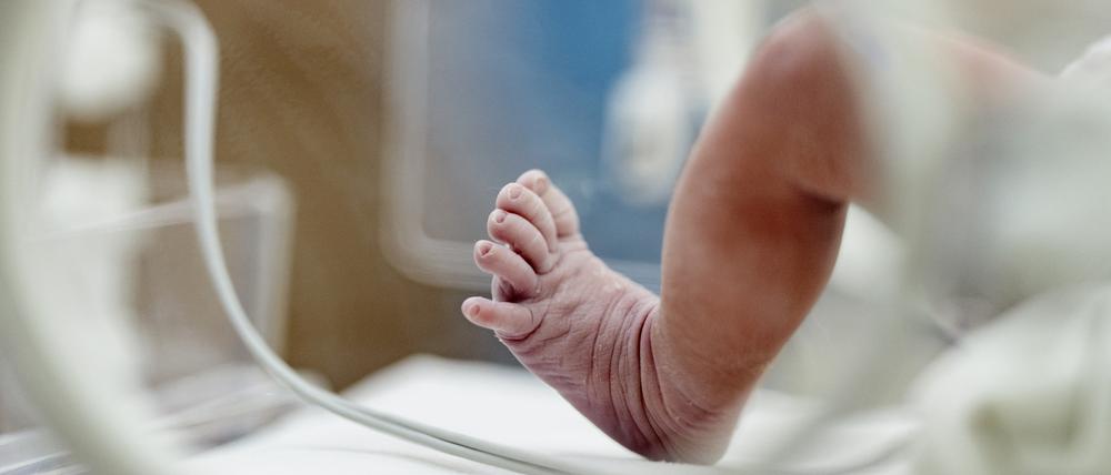 Eizellspenden sind in Deutschland seit 1990 verboten.