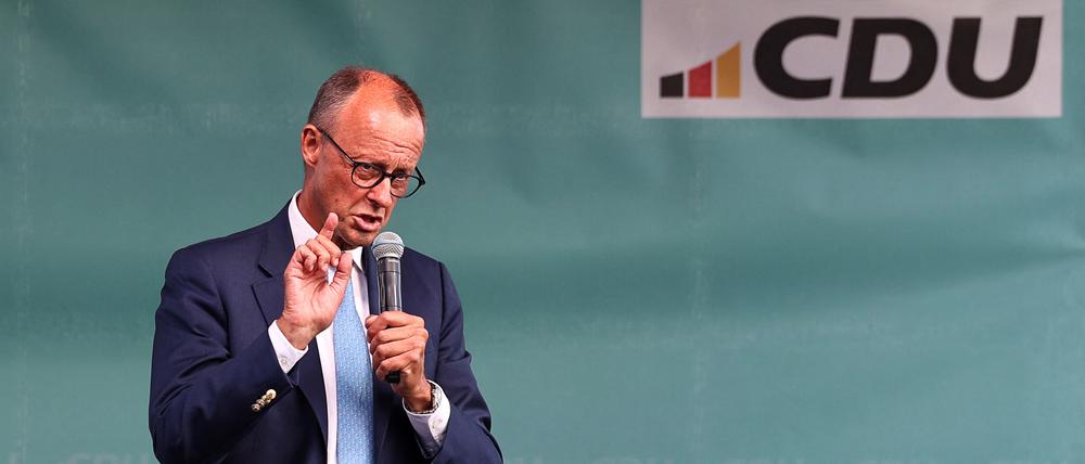 CDU-Chef und Unionsfraktionsvorsitzender: Friedrich Merz.